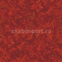 Ковровое покрытие Agnella Creation Erie Coral Красный — купить в Москве в интернет-магазине Snabimport